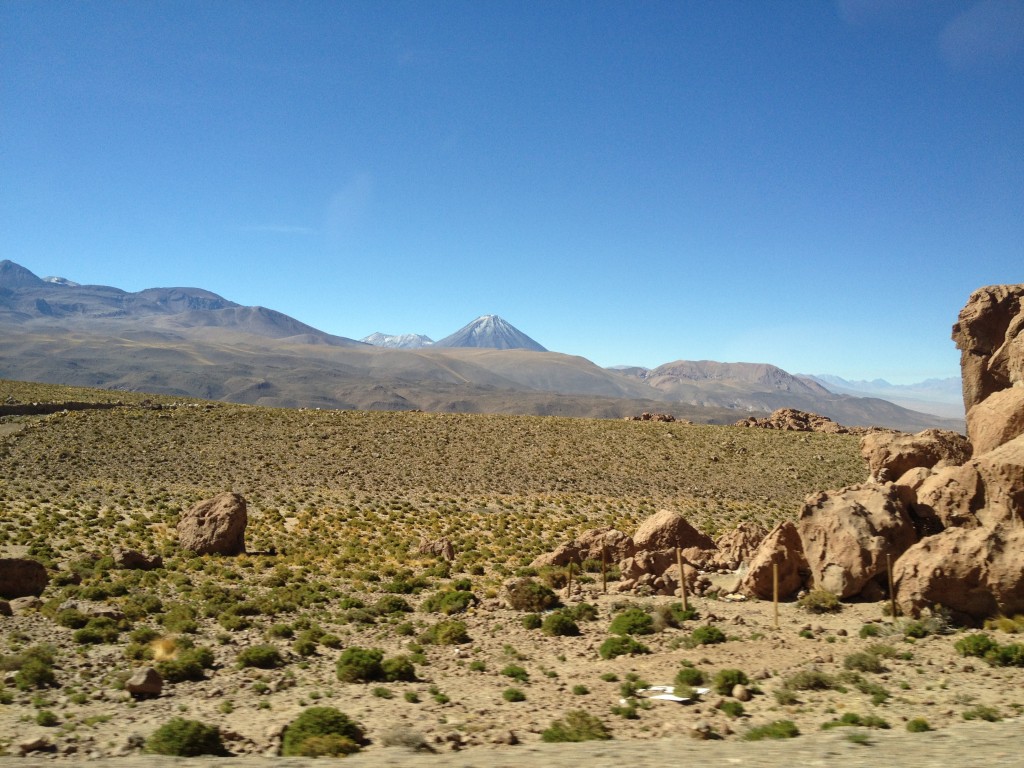 Licancabur al fondo , observando. Es el Rey de Atacama !